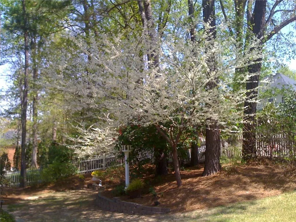 7415 Brandonshire Road, Sandy Springs, Georgia 30350, 4 Bedrooms Bedrooms, ,4 BathroomsBathrooms,Residential,Sold,7415 Brandonshire Road,5800777