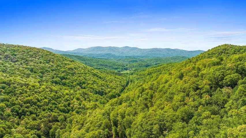 Lot 18 Cub Trail, Cherry Log, Georgia 30522