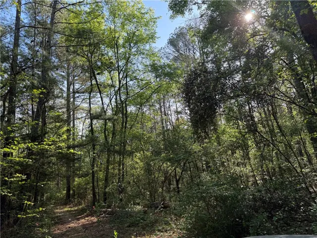 Heavily wooded lot featuring mature trees and natural vegetation