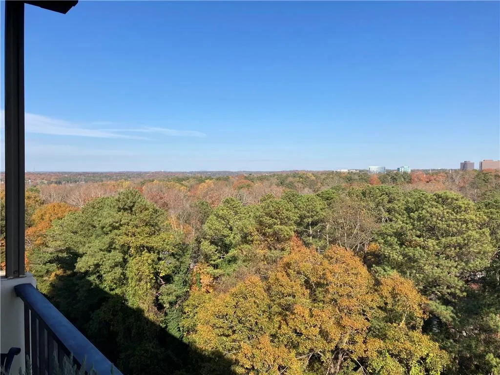 300 Johnson Ferry Road Ne Unit A1007, Sandy Springs, Georgia 30328, 2 Bedrooms Bedrooms, ,2 BathroomsBathrooms,Residential,Sold,300 Johnson Ferry Road Ne Unit A1007,7152344