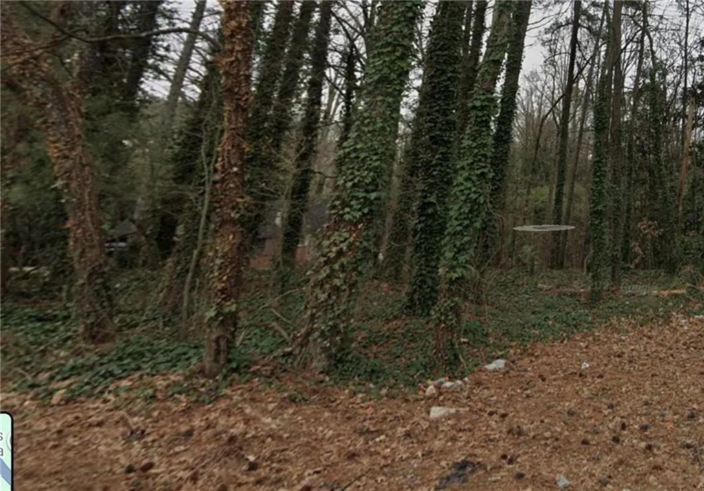 View of undeveloped land