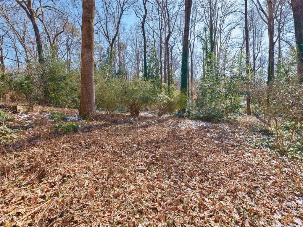 495 Forest Hills Drive, Sandy Springs, Georgia 30342, ,Land,Sold,495 Forest Hills Drive,5966336