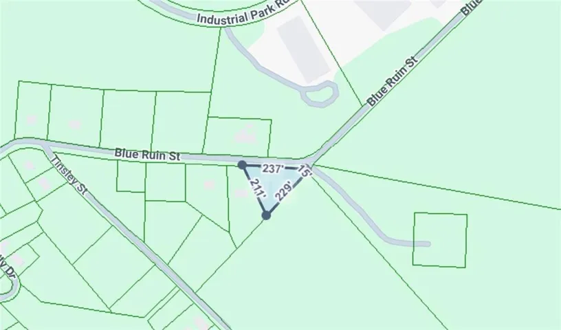 596 Blue Ruin Street, Monticello, Georgia 31064