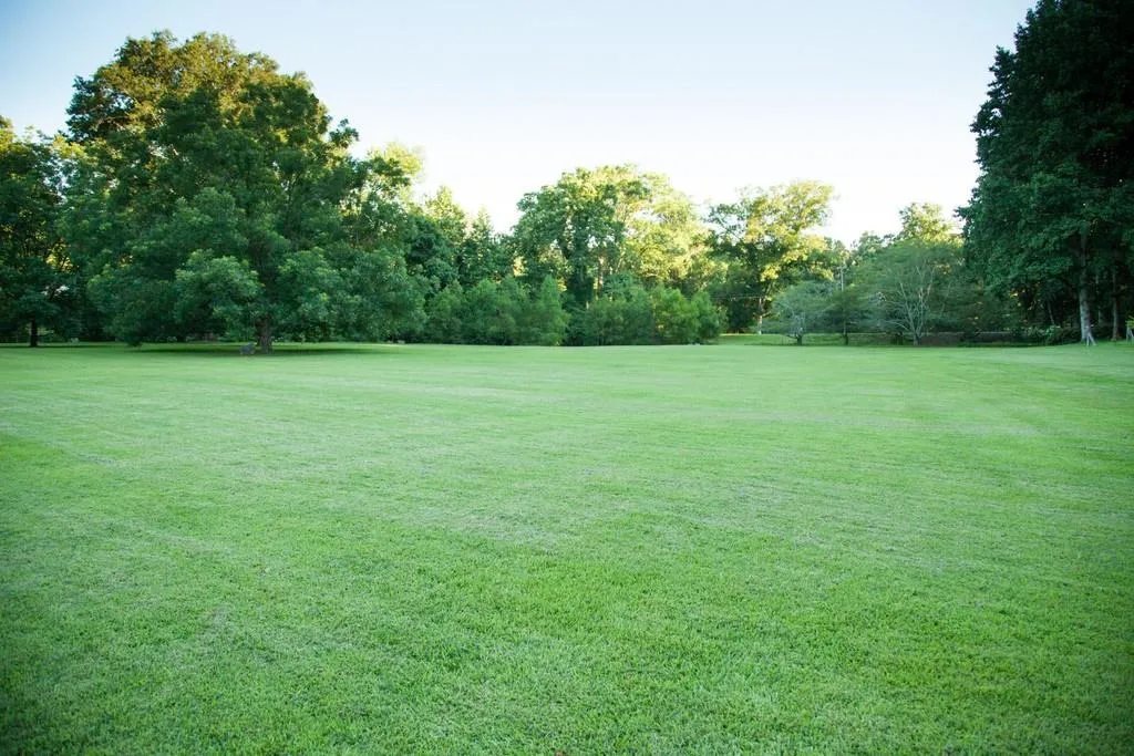 5005 Jett Road Nw, Atlanta, Georgia 30327, 3 Bedrooms Bedrooms, ,4 BathroomsBathrooms,Residential,Sold,5005 Jett Road Nw,6731425