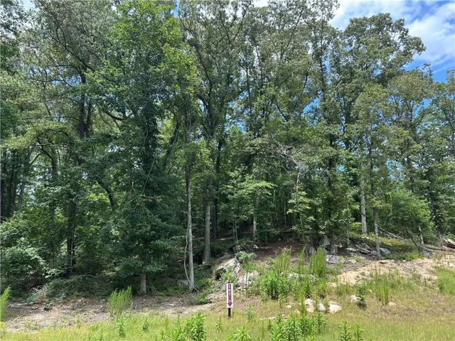0 Hamilton Road, Chattahoochee Hills, Georgia 30268