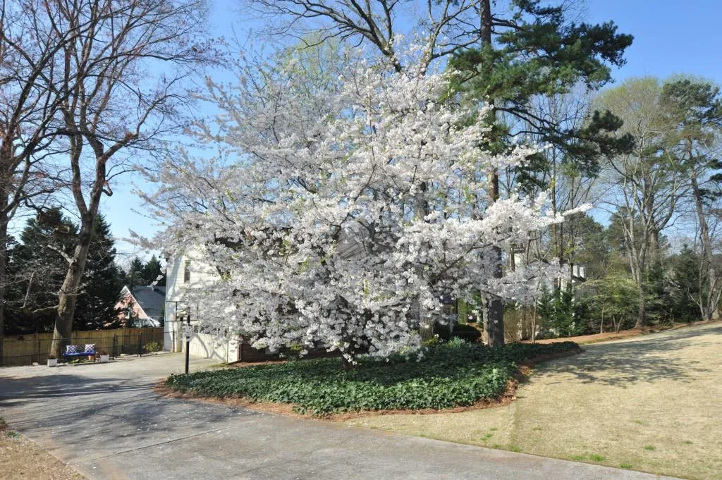 5105 Baroque Circle, Atlanta, Georgia 30342, 5 Bedrooms Bedrooms, ,3 BathroomsBathrooms,Residential,Sold,5105 Baroque Circle,6680274