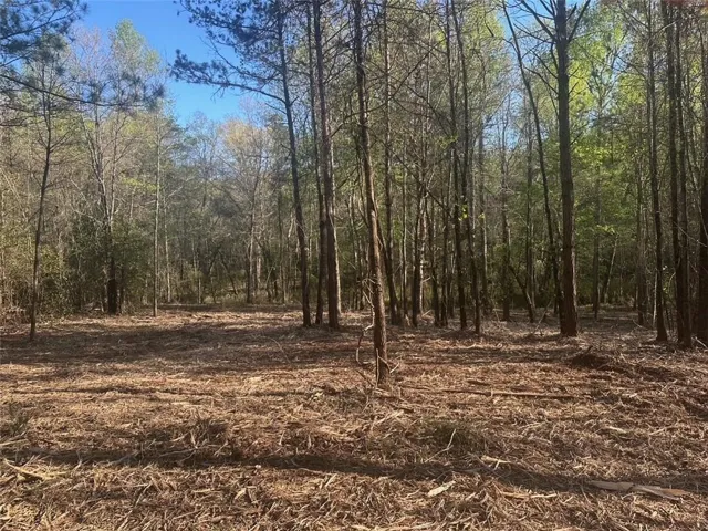 00 Lee Mashburn Road, Dahlonega, Georgia 30533