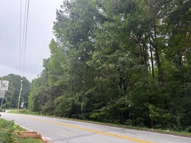 Roadside property featuring mature tree coverage and dense foliage