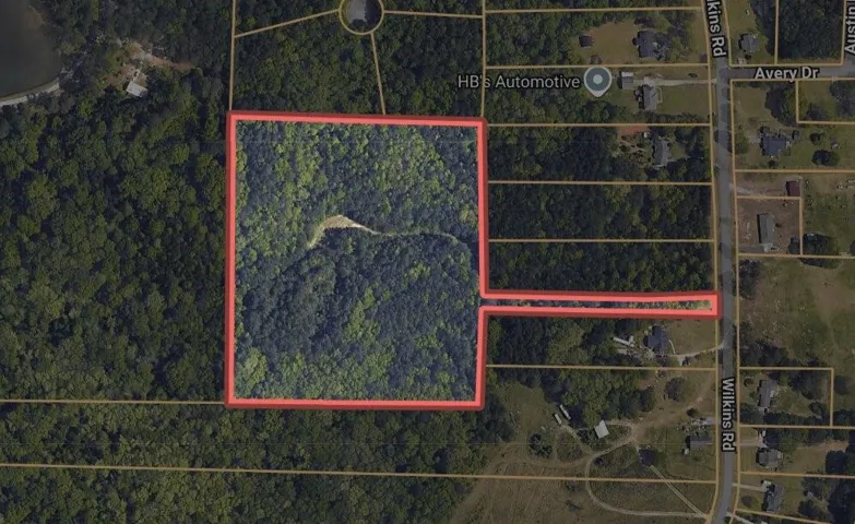 0 Wilkins Road, Fayetteville, Georgia 30214