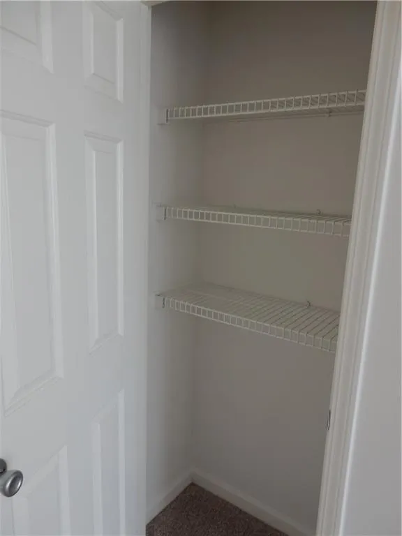 Closet featuring wire shelving and carpet flooring