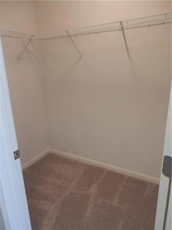 Carpeted closet with wire shelving