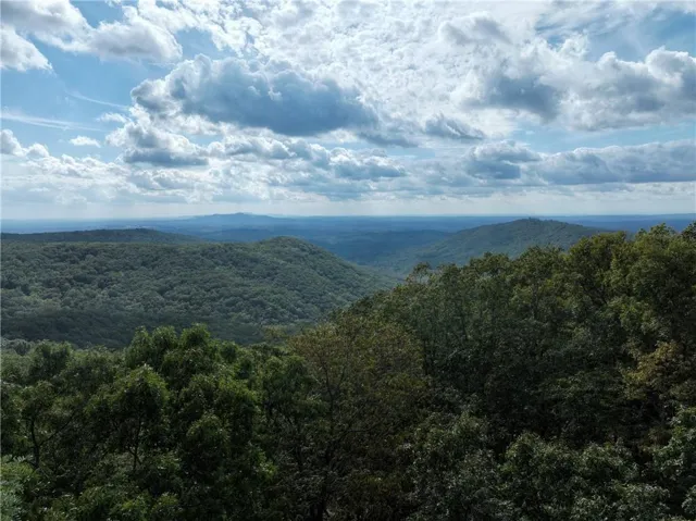 30 Andes Ridge, Jasper, Georgia 30143