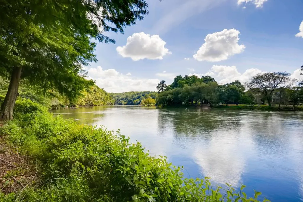 803 Creekgarden Court, Sandy Springs, Georgia 30339, 4 Bedrooms Bedrooms, ,4 BathroomsBathrooms,Residential,Sold,803 Creekgarden Court,6877134
