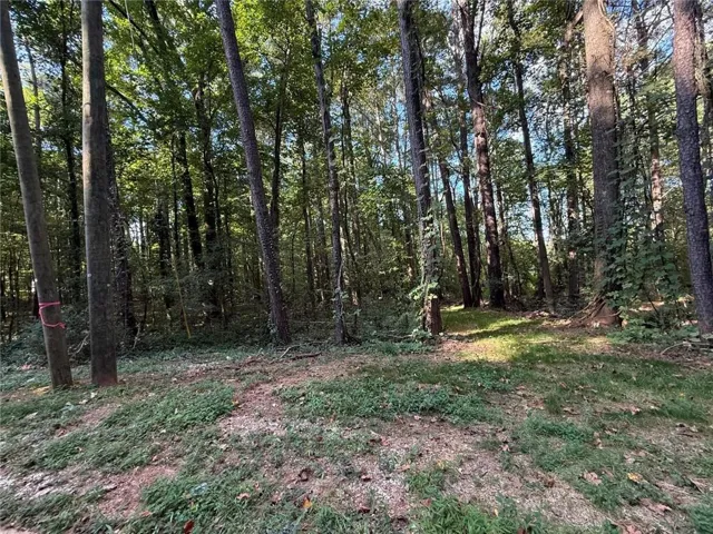 Level Spacious lot