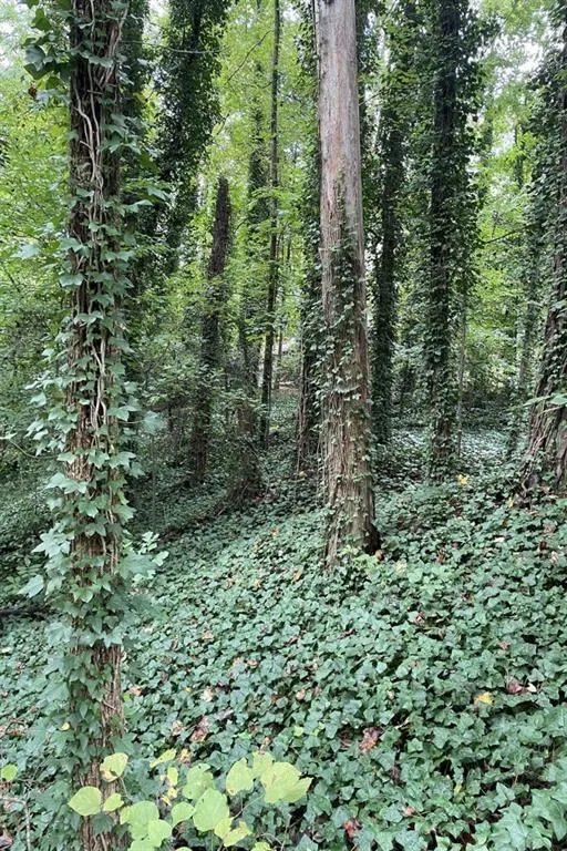 6400 Riverside Drive, Sandy Springs, Georgia 30328, 5 Bedrooms Bedrooms, ,4 BathroomsBathrooms,Residential,Sold,6400 Riverside Drive,6955559