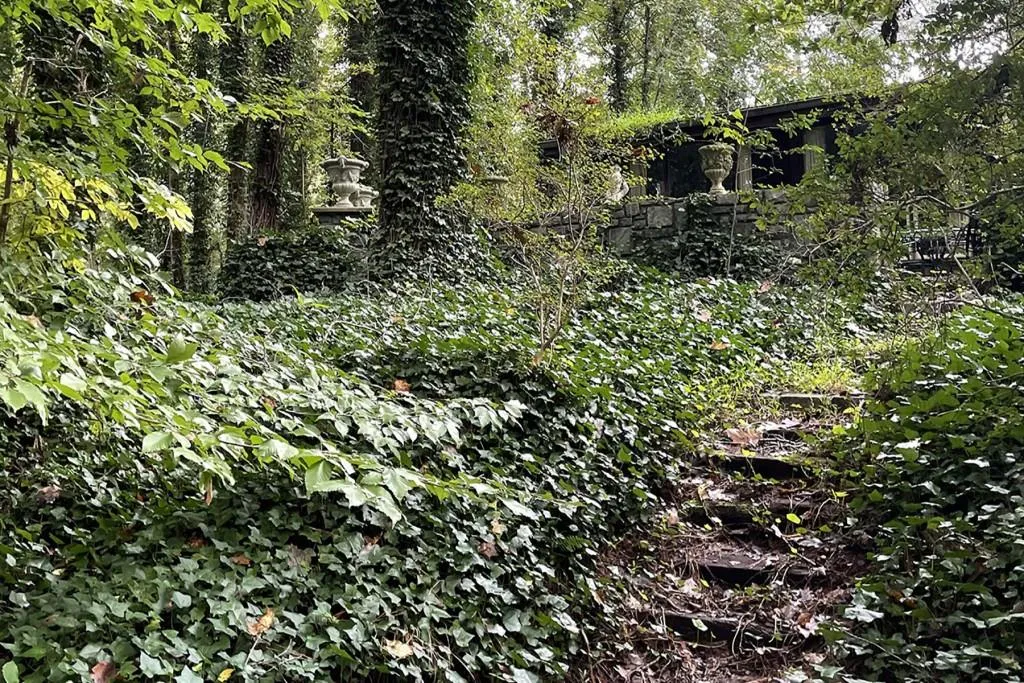 6400 Riverside Drive, Sandy Springs, Georgia 30328, 5 Bedrooms Bedrooms, ,4 BathroomsBathrooms,Residential,Sold,6400 Riverside Drive,6955559