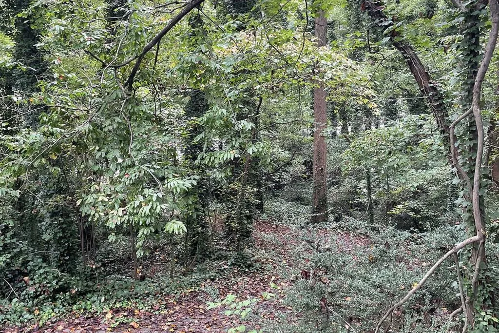 6400 Riverside Drive, Sandy Springs, Georgia 30328, 5 Bedrooms Bedrooms, ,4 BathroomsBathrooms,Residential,Sold,6400 Riverside Drive,6955559