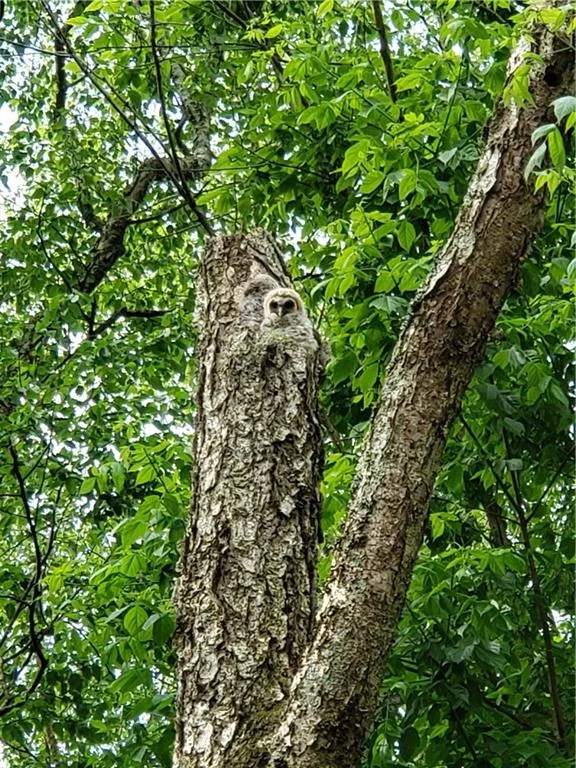 7500 Roswell Road Unit 13, Atlanta, Georgia 30350, 2 Bedrooms Bedrooms, ,2 BathroomsBathrooms,Residential,Sold,7500 Roswell Road Unit 13,6562393