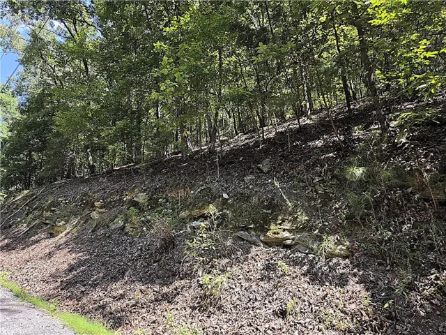 Wooded hillside featuring mature trees and exposed rock formations