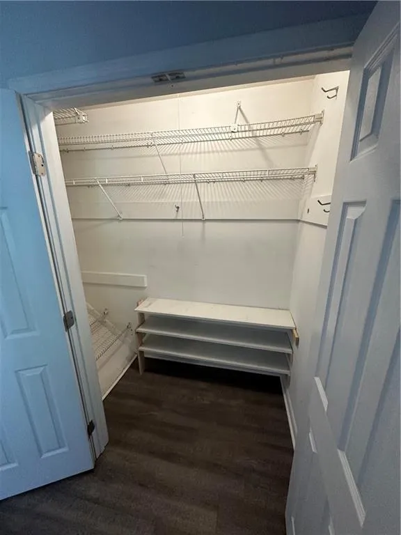 Spacious closet featuring dark wood-style flooring