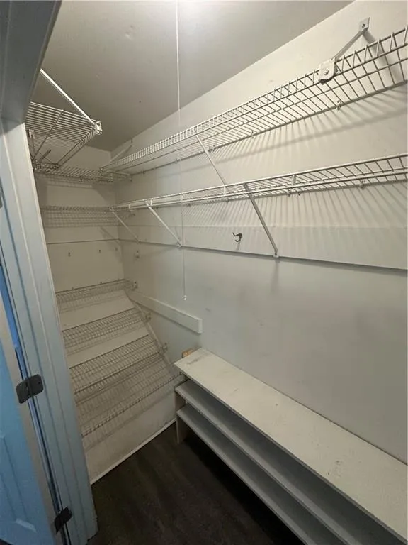 Walk in closet with dark wood-style flooring