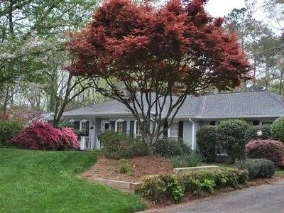 440 Glencourtney Drive, Sandy Springs, Georgia 30328, 4 Bedrooms Bedrooms, ,2 BathroomsBathrooms,Residential,Sold,440 Glencourtney Drive,6503833