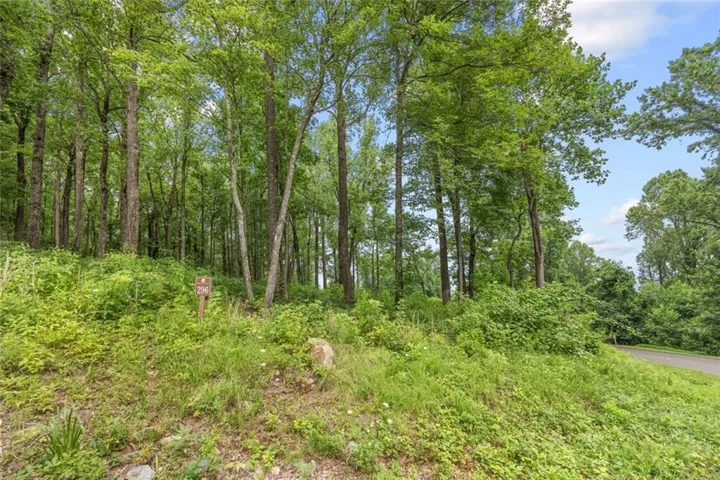 Lt 296 Andes Ridge, Ellijay, Georgia 30536