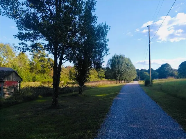 Gravel driveway flanked by mature trees and expansive grassy areas