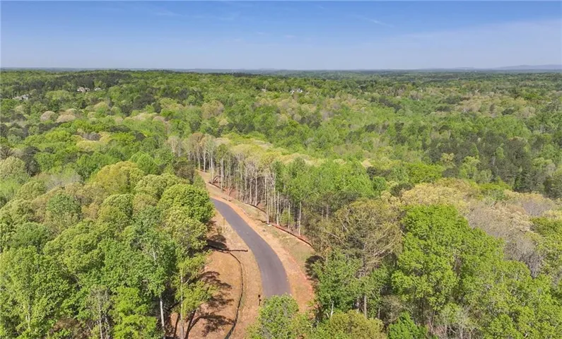 13565 Wood Fern Way, Milton, Georgia 30075