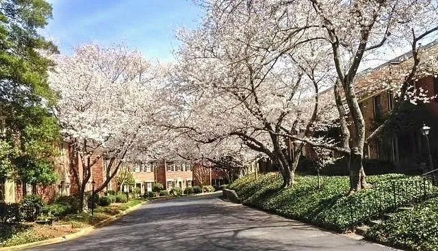 View of home's community
