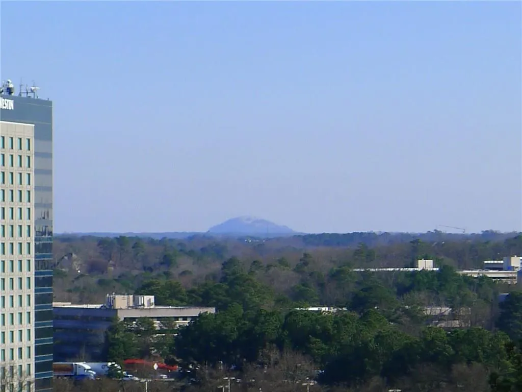795 Hammond Drive Unit 902, Atlanta, Georgia 30328, 1 Bedroom Bedrooms, ,1 BathroomBathrooms,Residential,Sold,795 Hammond Drive Unit 902,6119306
