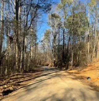 View of road