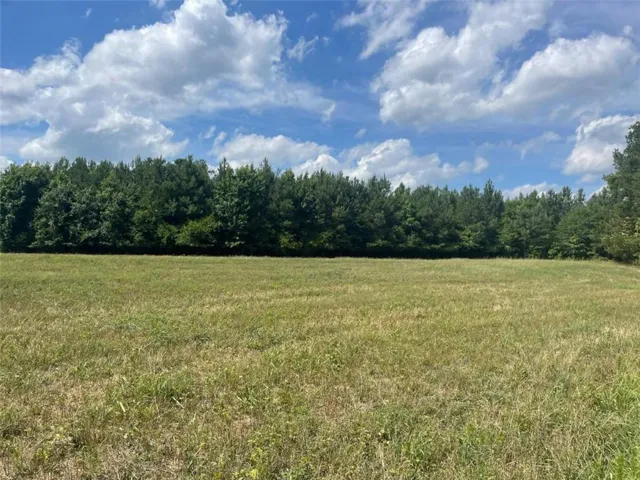 0 Cannon Road, Sharpsburg, Georgia 30277