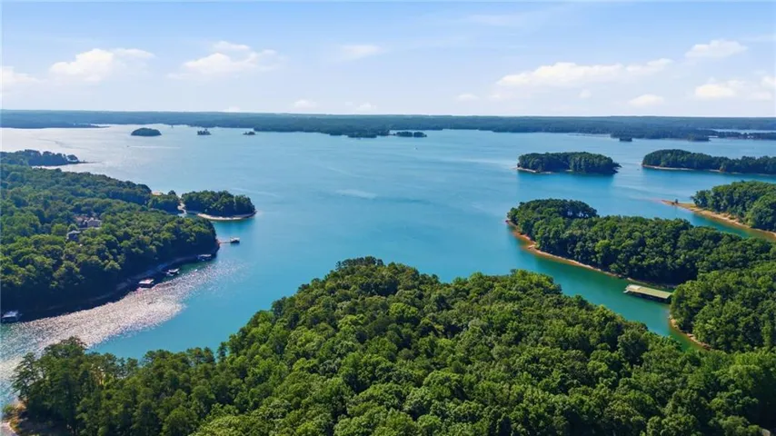 Expansive lake system featuring multiple wooded islands and numerous private docks