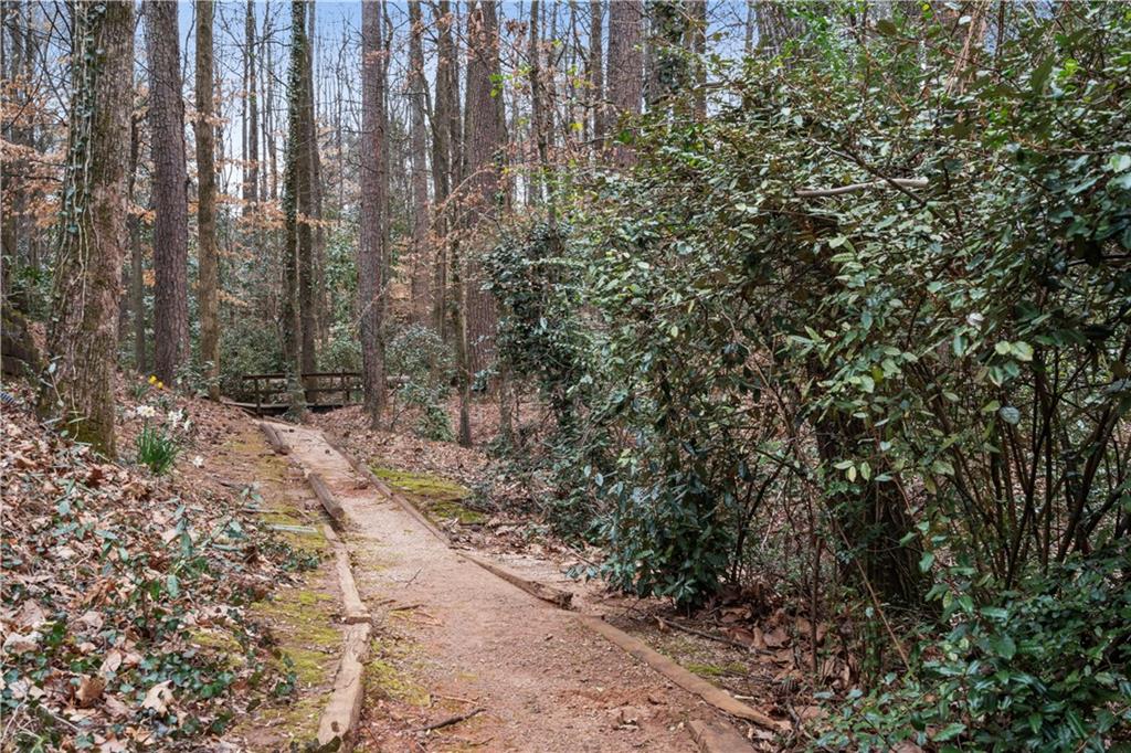 View of nature trail