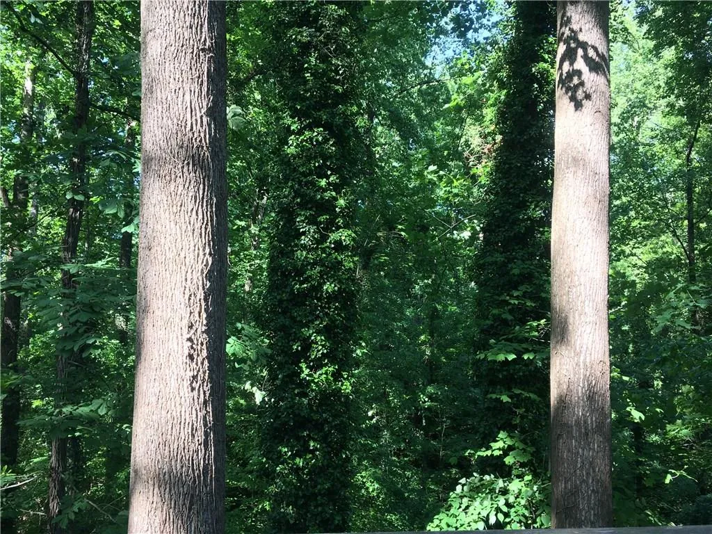 4955 Powers Ferry Road Nw, Atlanta, Georgia 30327, 5 Bedrooms Bedrooms, ,3 BathroomsBathrooms,Residential,Sold,4955 Powers Ferry Road Nw,5948431