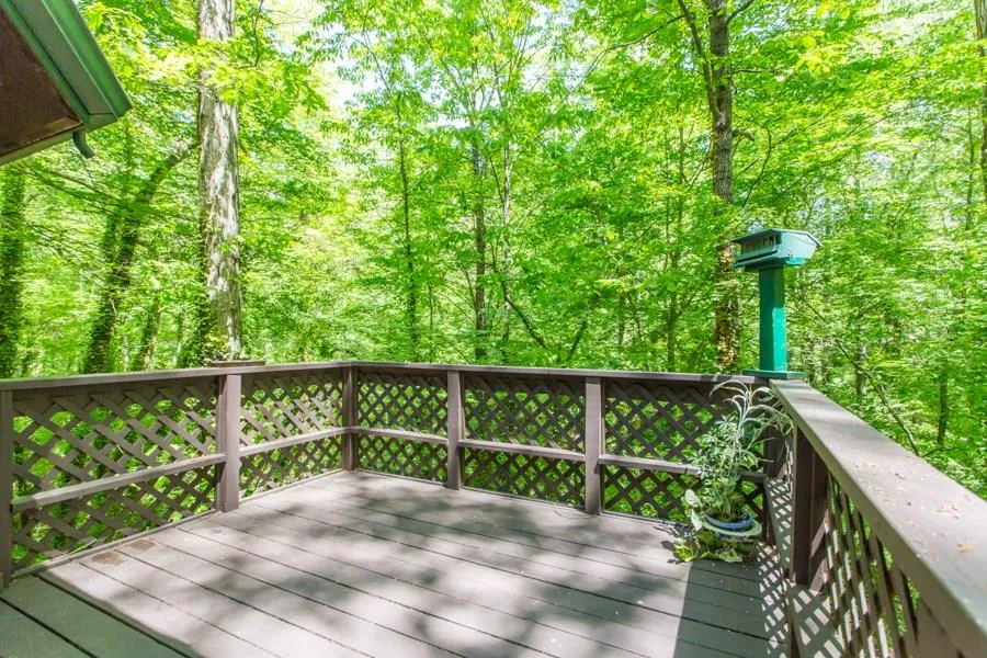 360 Tara Trail Nw, Sandy Springs, Georgia 30327, 4 Bedrooms Bedrooms, ,4 BathroomsBathrooms,Residential,Sold,360 Tara Trail Nw,5756308