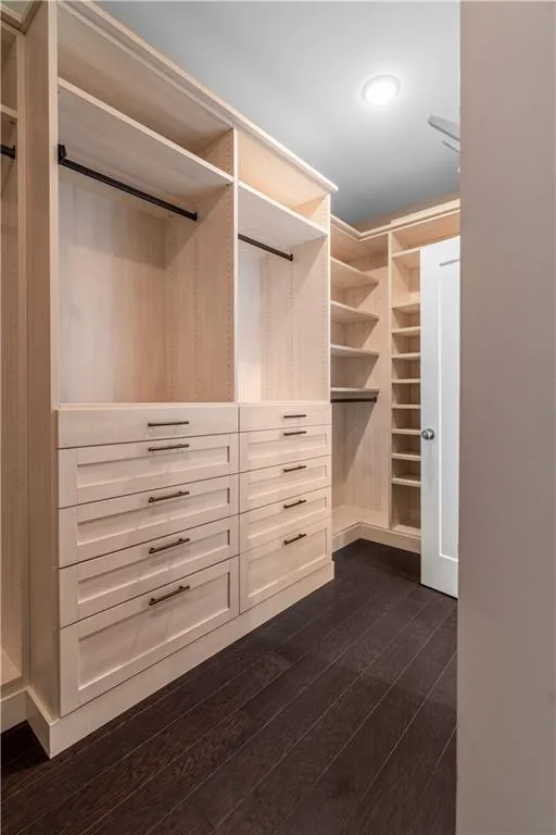 Spacious closet featuring dark wood-style floors