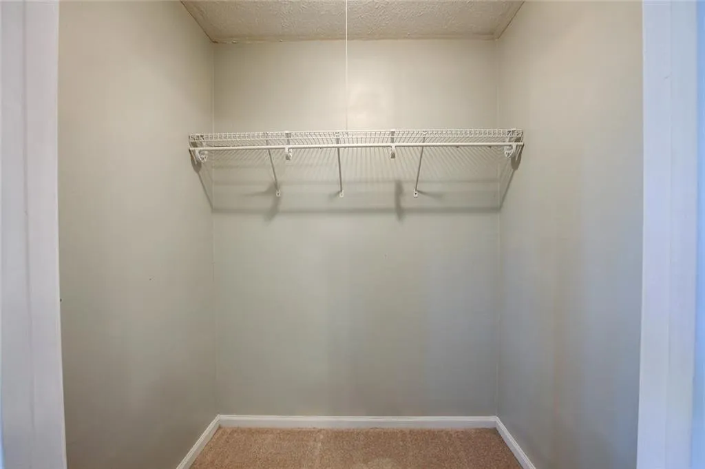 Spacious closet featuring carpet