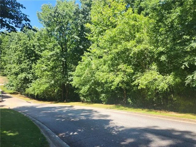 Mature trees and lush foliage border a paved road with a concrete curb