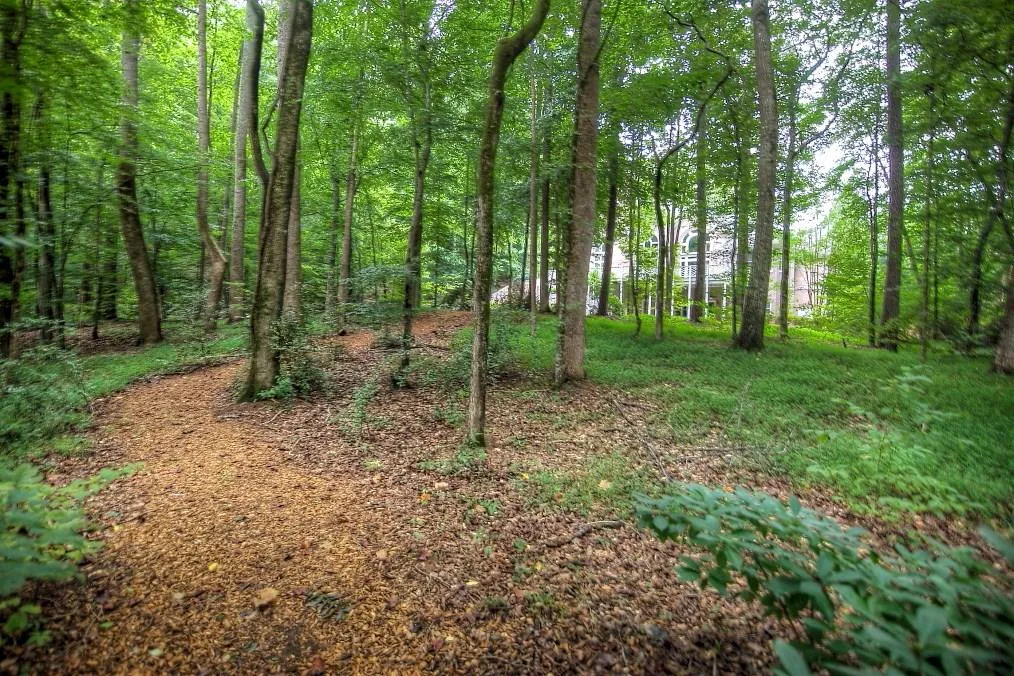 393 Caruso Court, Atlanta, Georgia 30350, 5 Bedrooms Bedrooms, ,5 BathroomsBathrooms,Residential,Sold,393 Caruso Court,5728403