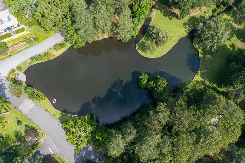 Duck Pond