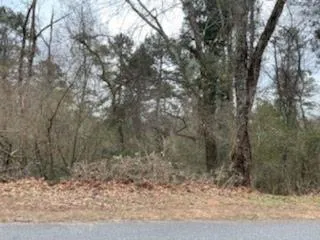 0 Spalding Drive, Atlanta, Georgia 30350, ,Land,Sold,0 Spalding Drive,6834908