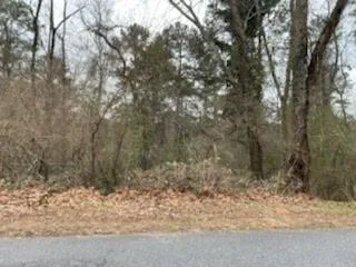 0 Spalding Drive, Atlanta, Georgia 30350, ,Land,Sold,0 Spalding Drive,6834908