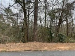 0 Spalding Drive, Atlanta, Georgia 30350, ,Land,Sold,0 Spalding Drive,6834908