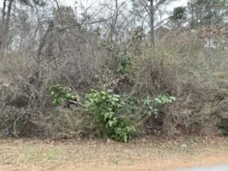 0 Spalding Drive, Atlanta, Georgia 30350, ,Land,Sold,0 Spalding Drive,6834908