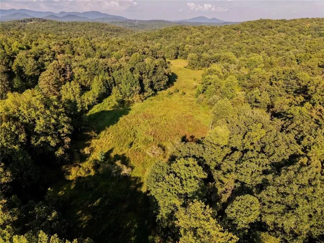 Expansive acreage featuring a mix of mature trees and open clearings