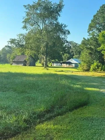 Expansive grassy area with mature trees and distant structures