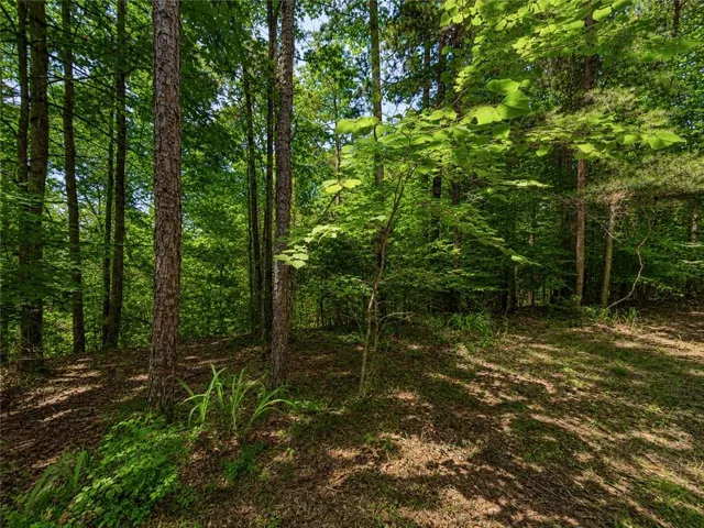 Mature trees and natural landscaping provide a serene setting