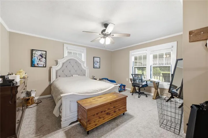 Carpeted room featuring two windows with white trim, a ceiling fan, and light-toned walls